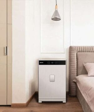 Két sắt philips SBX701