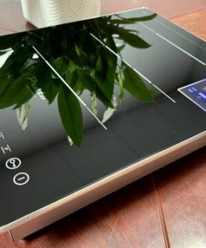 Bếp từ PT1126 Plus