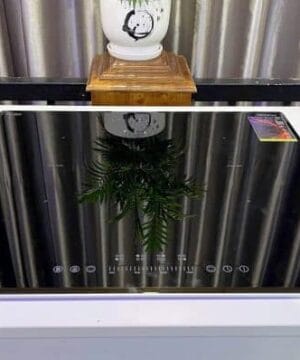 Bếp từ Prato PT-666.flexi