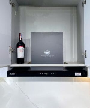 máy hút mùi chữ t model pt-368.t2 giá rẻ